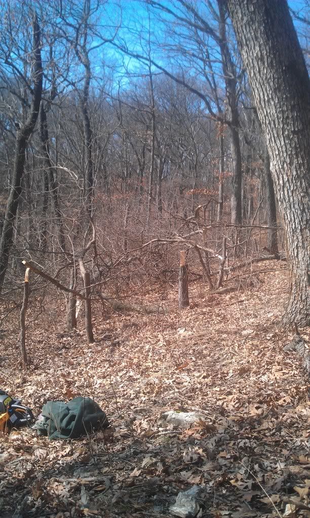 Creating deer bedding areas